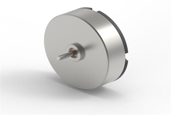 導(dǎo)彈舵盤執(zhí)行器用什么電機？